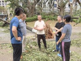 与业主方海口市城管局相关领导现场交流 (2)