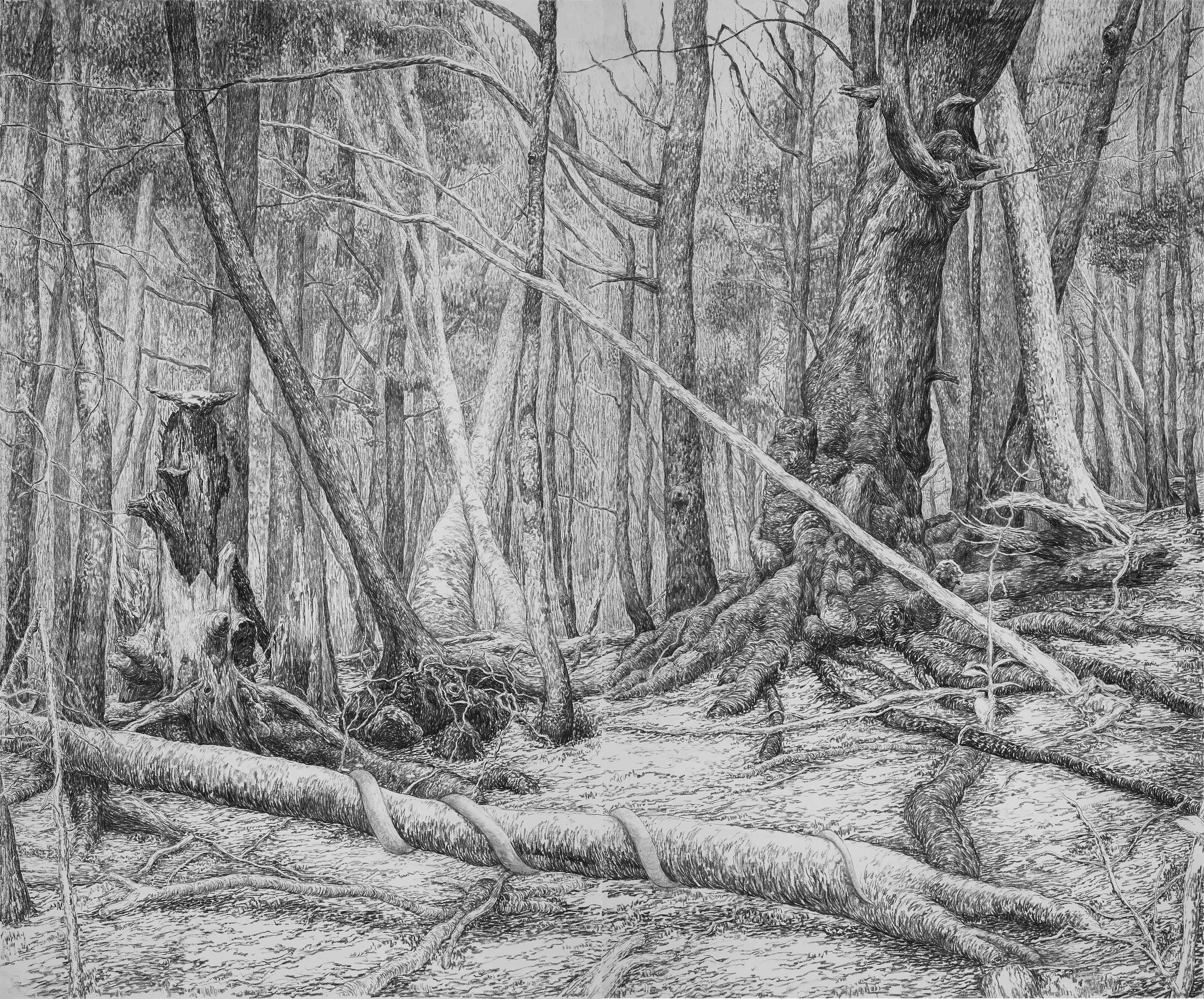 《森林深处NO.2》碳棒、180克康颂素描纸，250X300cm2022
