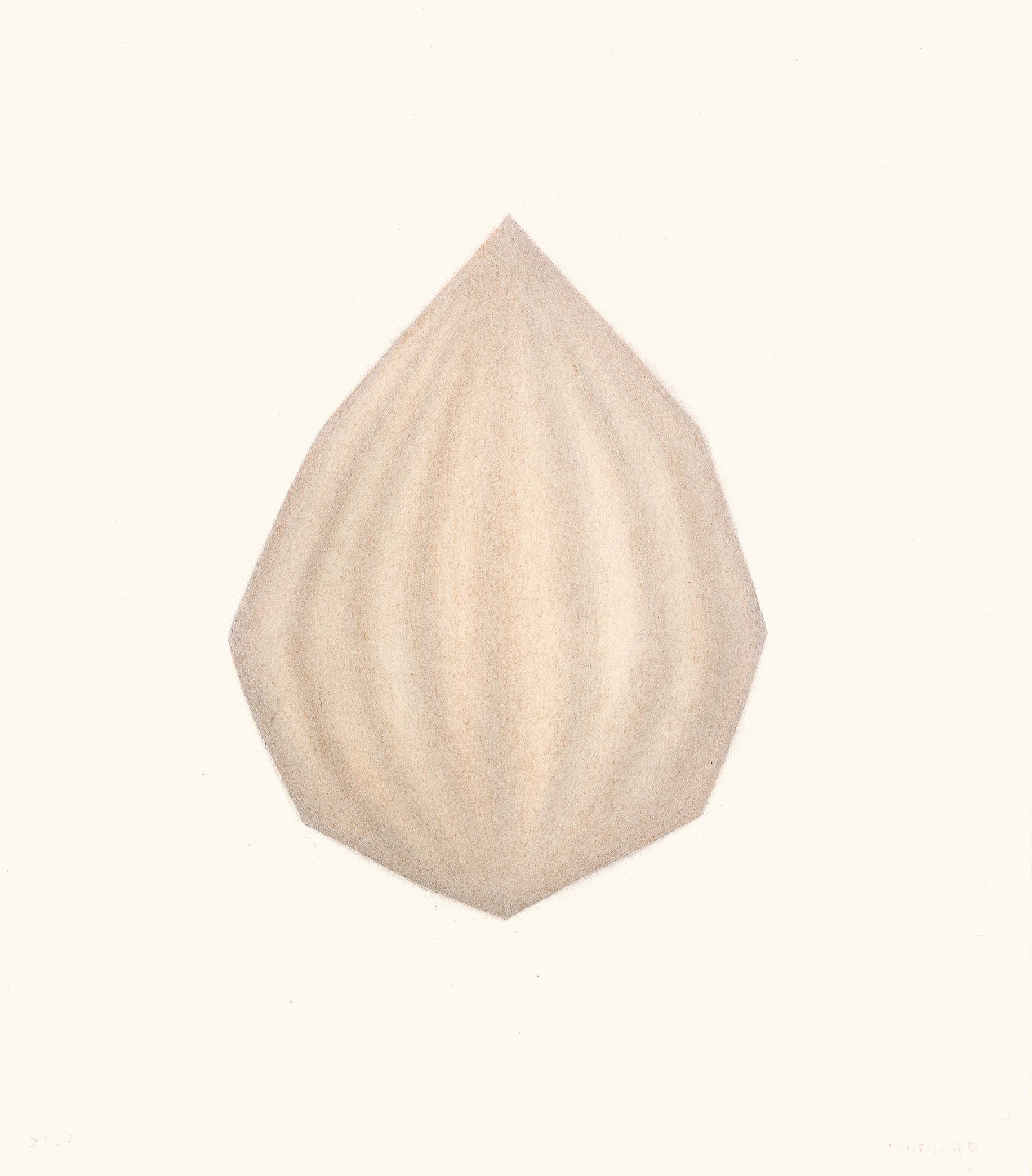 《杏》，17x15cm，纸本彩铅，2022