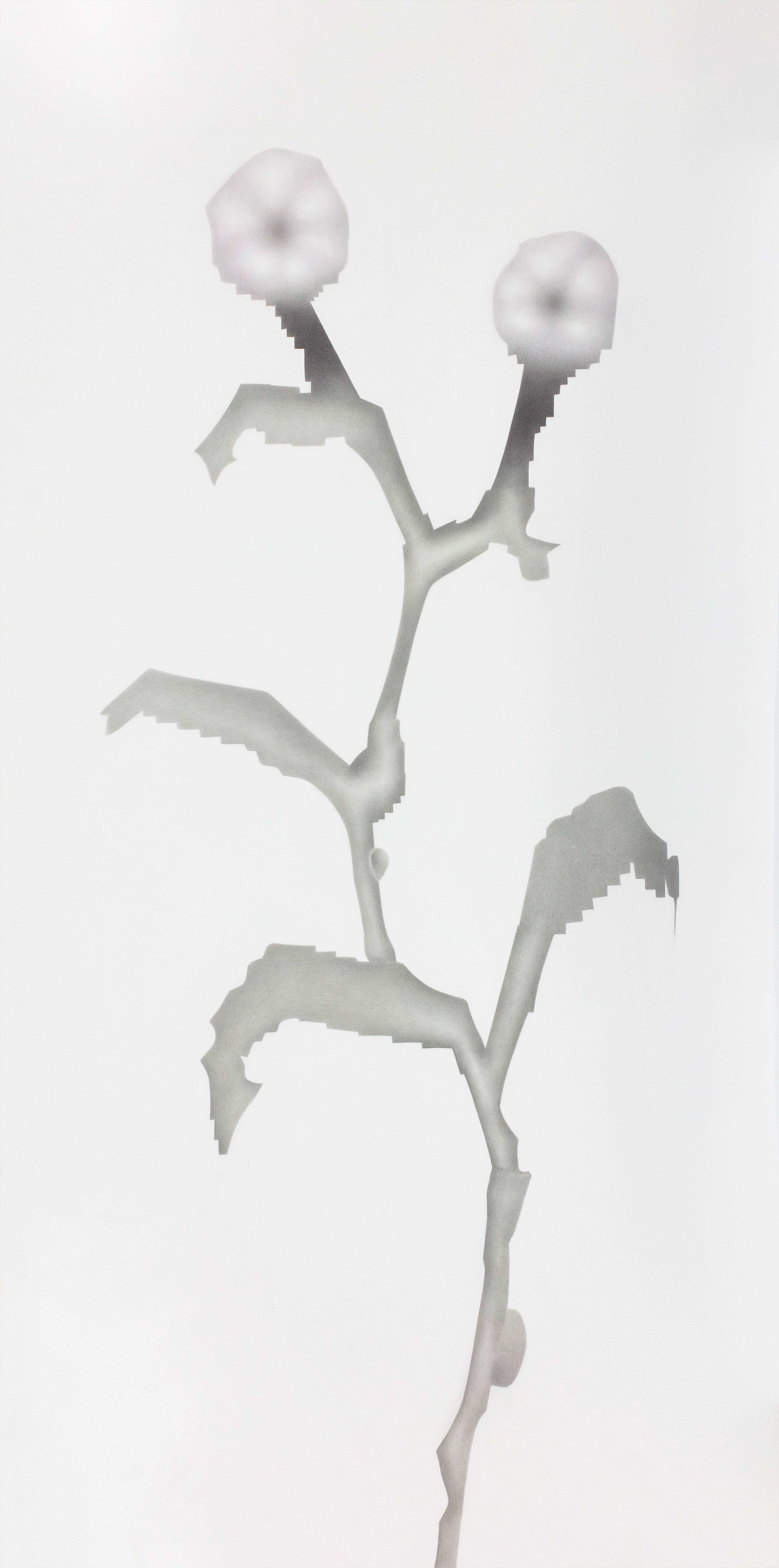 《圆形的花》200×100cm，纸本彩铅，2018