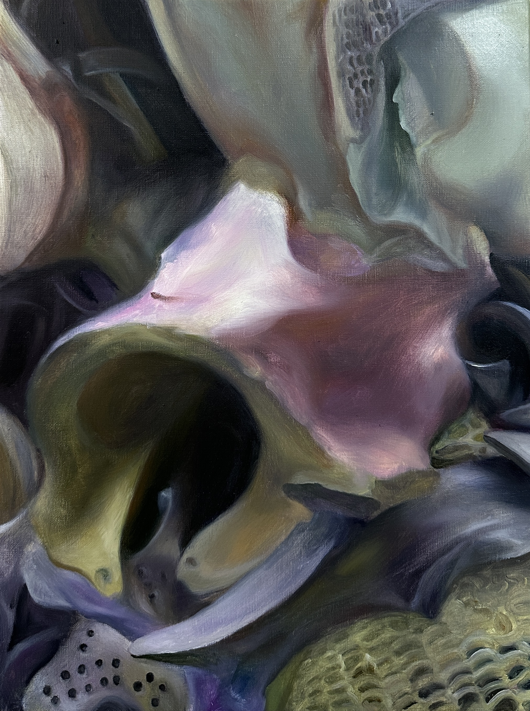《新衣_240131》40×30cm，布面油画，2024