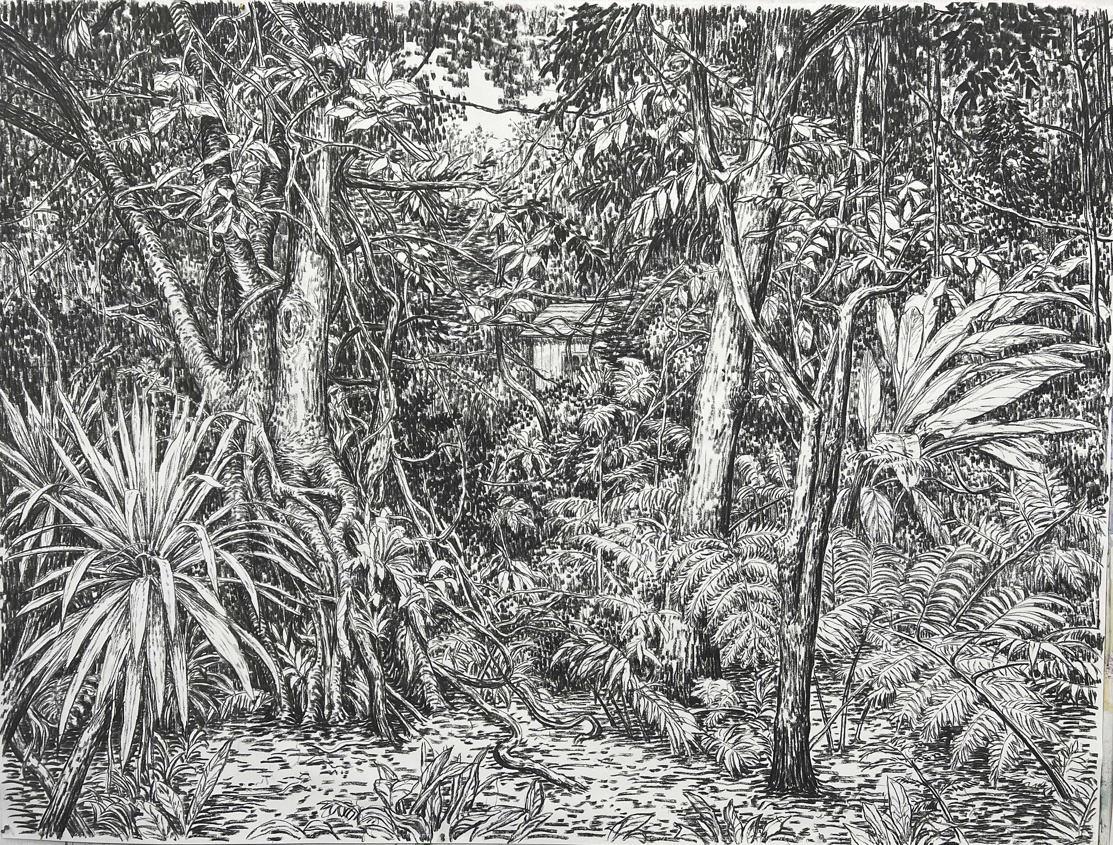 《森林深处NO.28》200x150cm、180克素描纸, 碳棒、2024