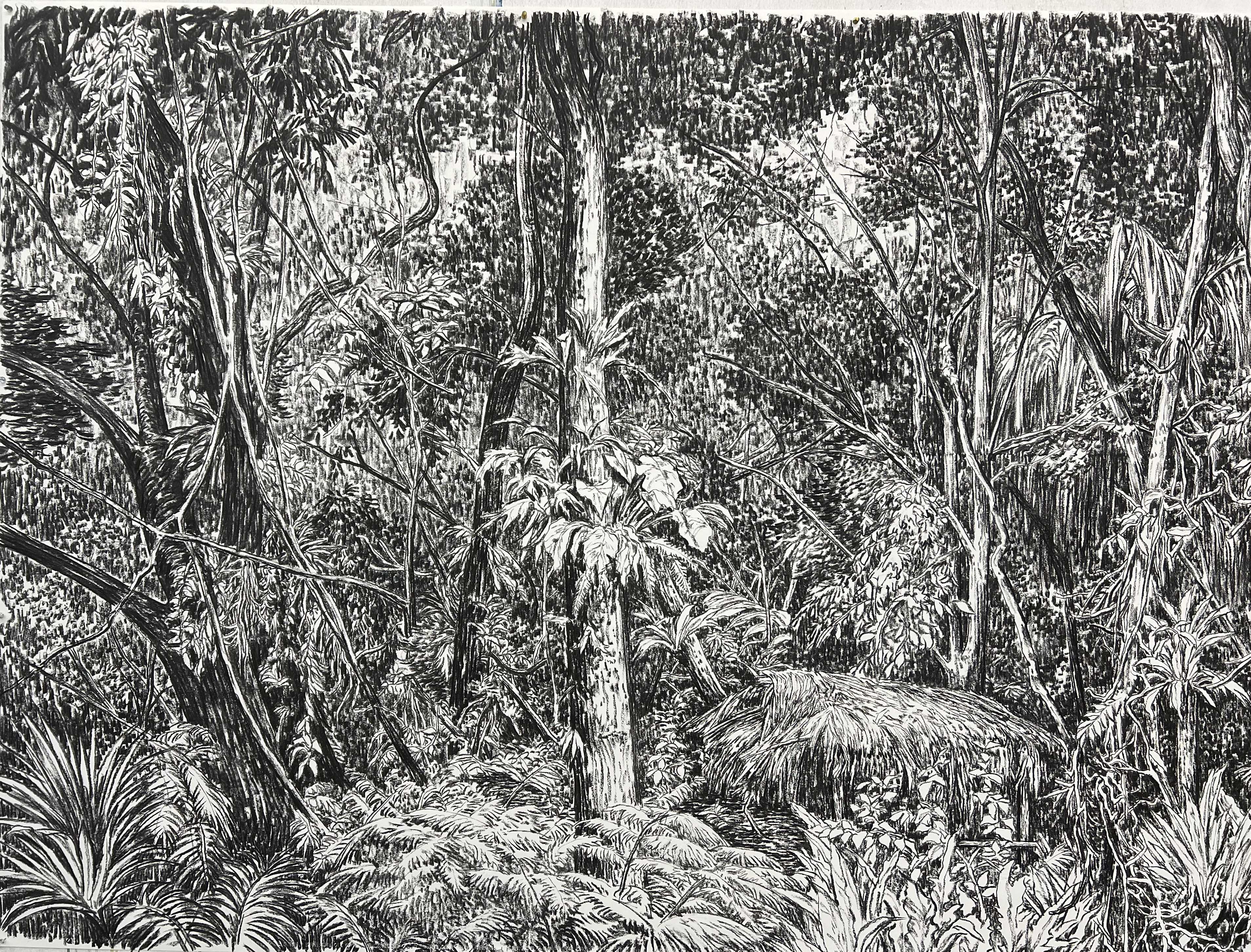 《森林深处NO.29》200x150cm、180克素描纸, 碳棒、2024