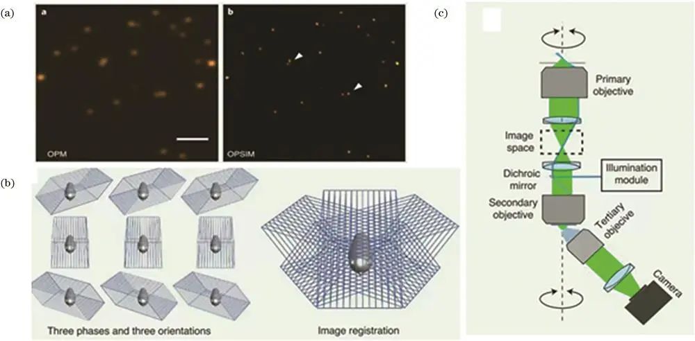 單物鏡光片三維熒光成像技術(shù)的發(fā)展與應(yīng)用