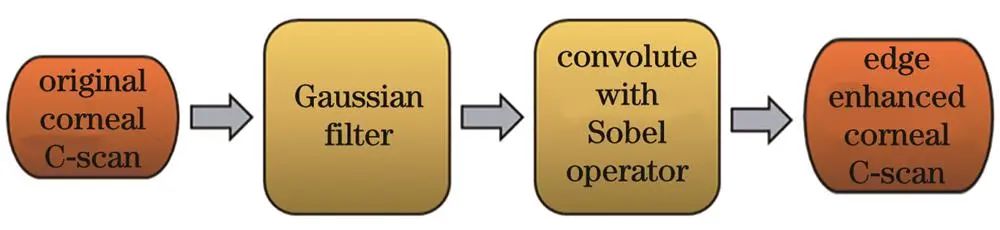 基于眼前節(jié)結(jié)構(gòu)信息的OCT和OCTA圖像運(yùn)動(dòng)偽影校正