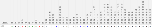 DDC靶器官