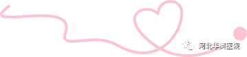 线条-粉色2拷贝.png