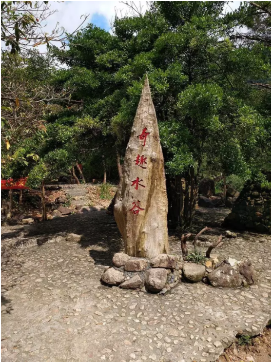 增城白水寨激情一日游