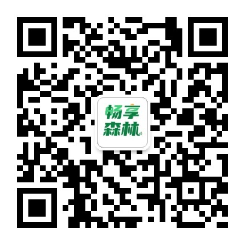 微信公众号