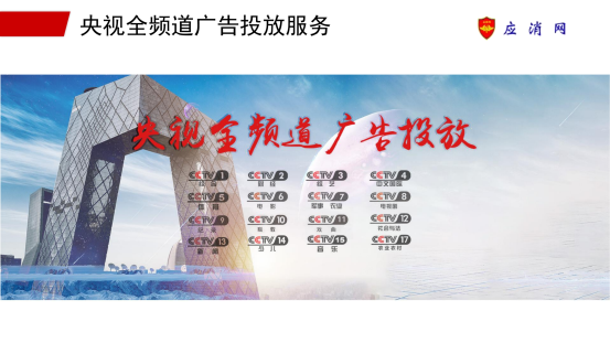 应消网服务手册_纯图版_12