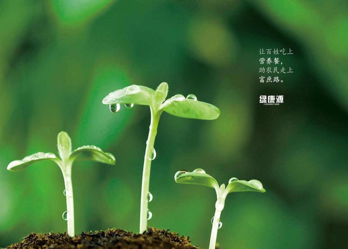 0-0扉页1