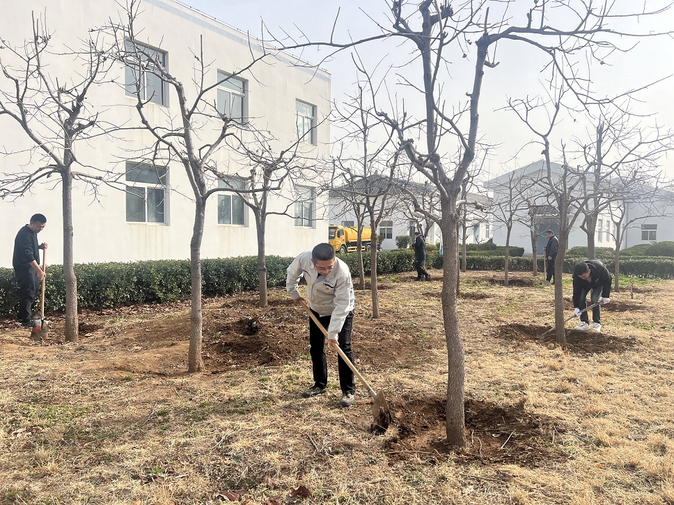植树护绿活动