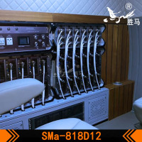 SMa-818D12-5