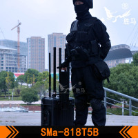 SMa-818T5B-6