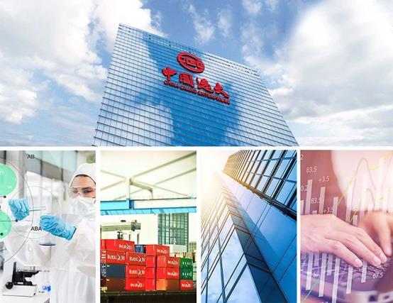 中国远大业务版图