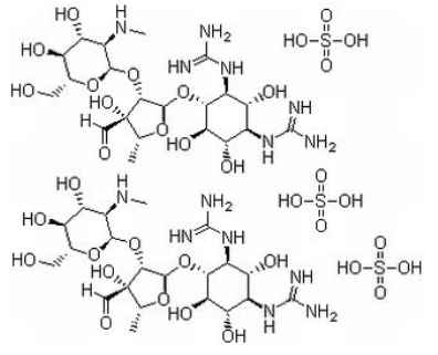 抗生素图片-硫酸链霉素