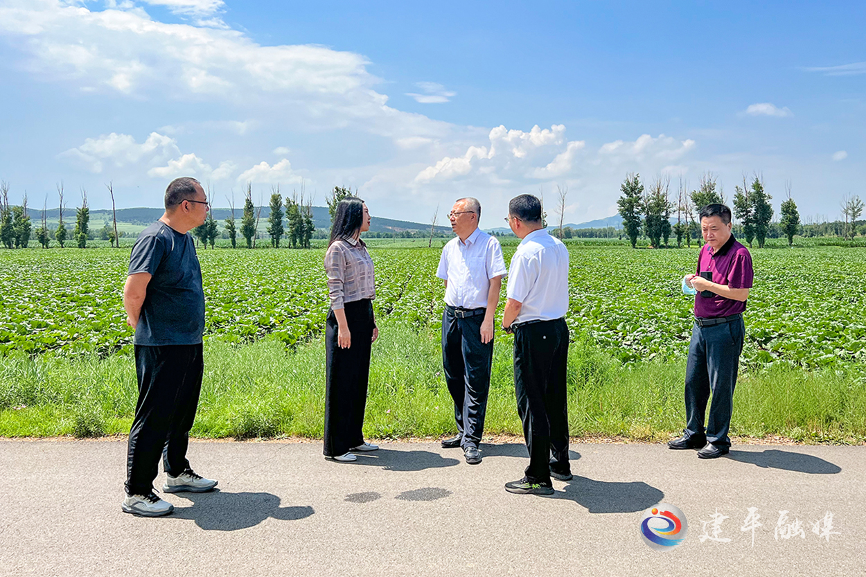 驻村帮扶出实招-建平融媒(建平新闻网)