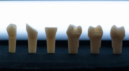 美学牙科模型5