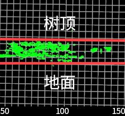 053地面树顶
