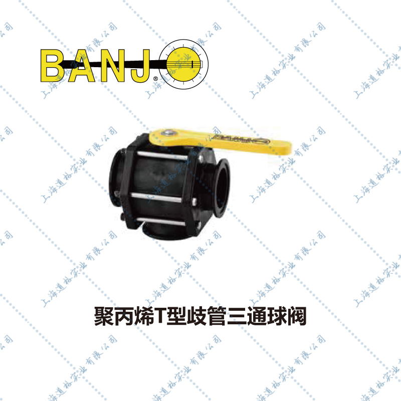 Banjo歧管三通球阀T2