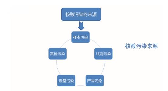 核酸污染来源