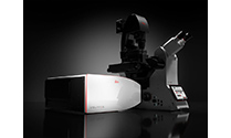 STELLARIS5共聚焦显微镜平台