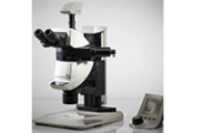 205FCA-半自动荧光体视显微镜