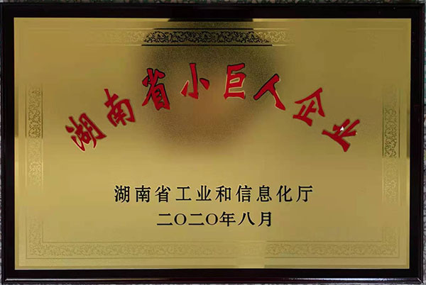 小巨人企業