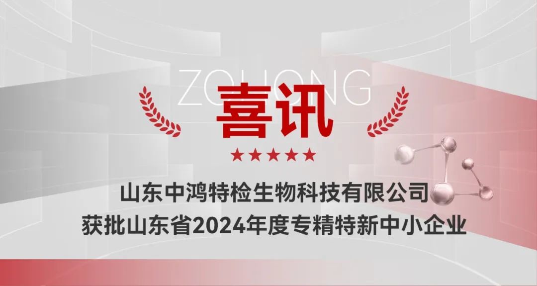 喜讯！山东中鸿特检获批山东省2024年度专精特新中小企业