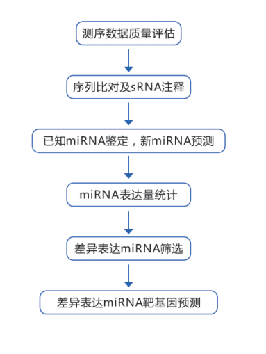 外泌体测序服务 华然腾创生物科技