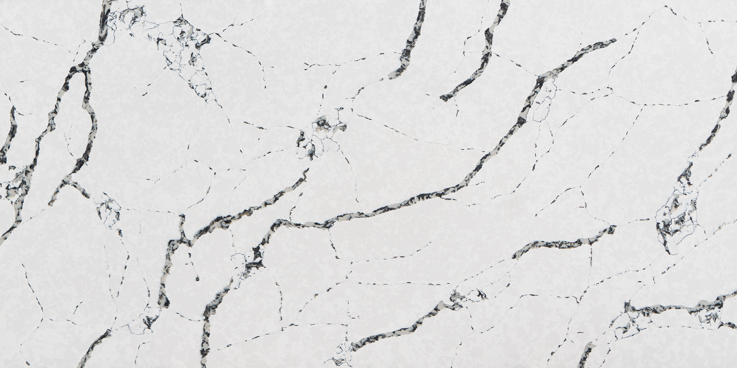 AD8008w