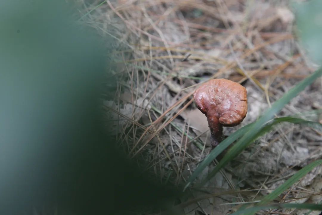 _MG_9730.JPG