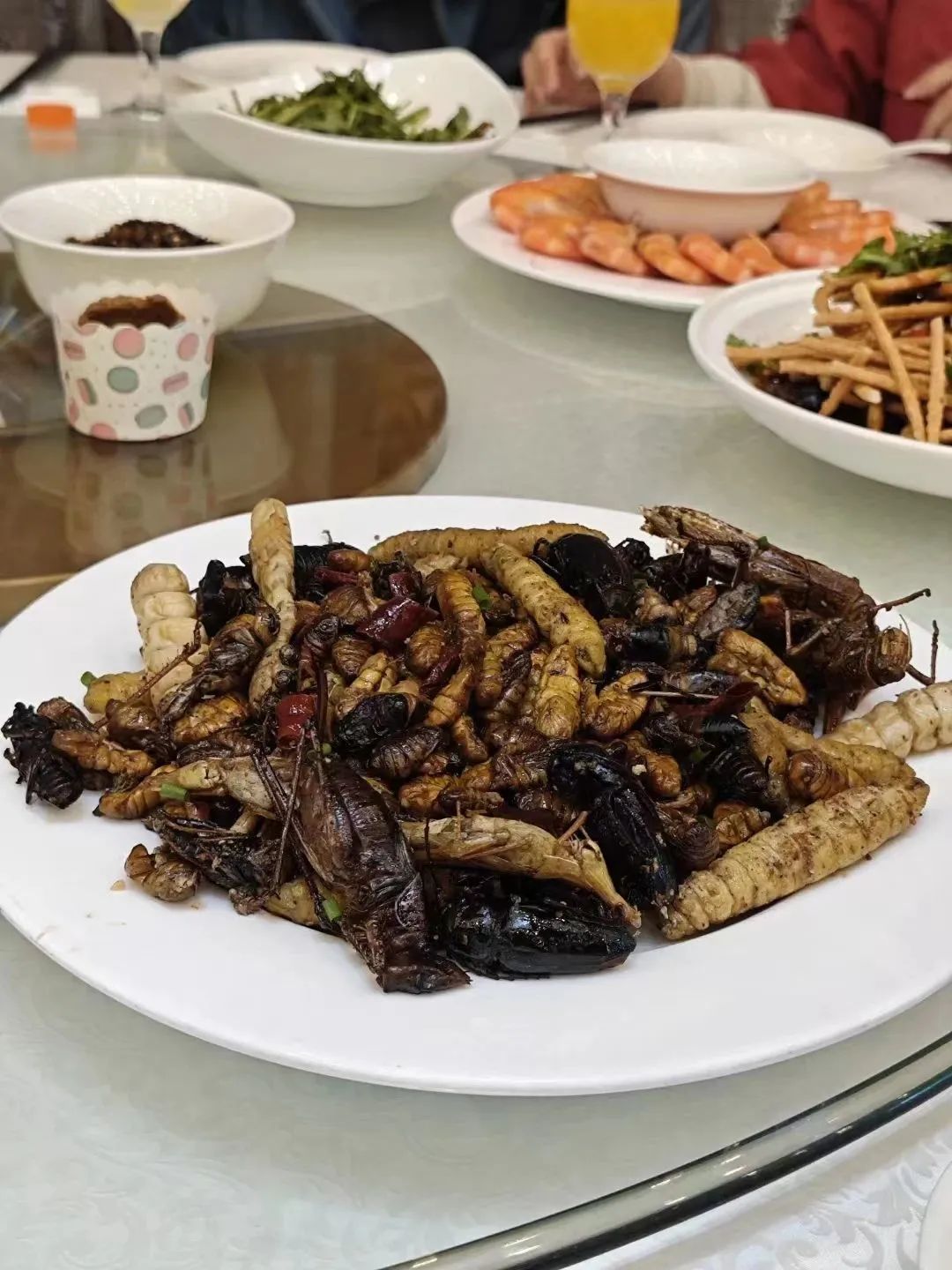昆虫宴_3.jpg