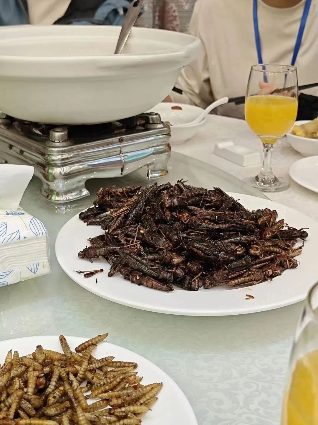 昆虫宴_2.jpg