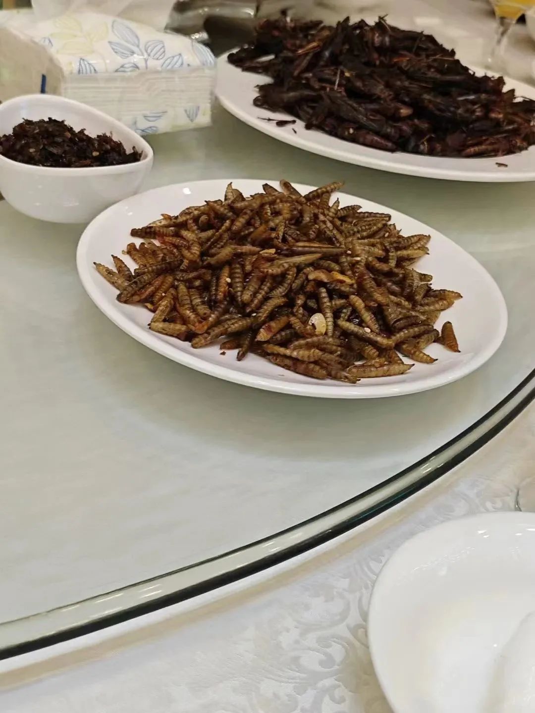 昆虫宴_1.jpg