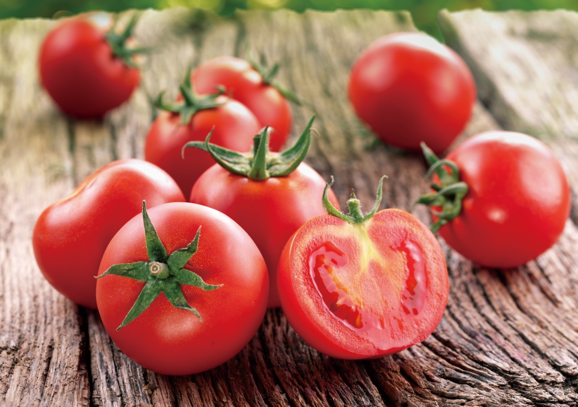 露地番茄浇水原则和方法介绍