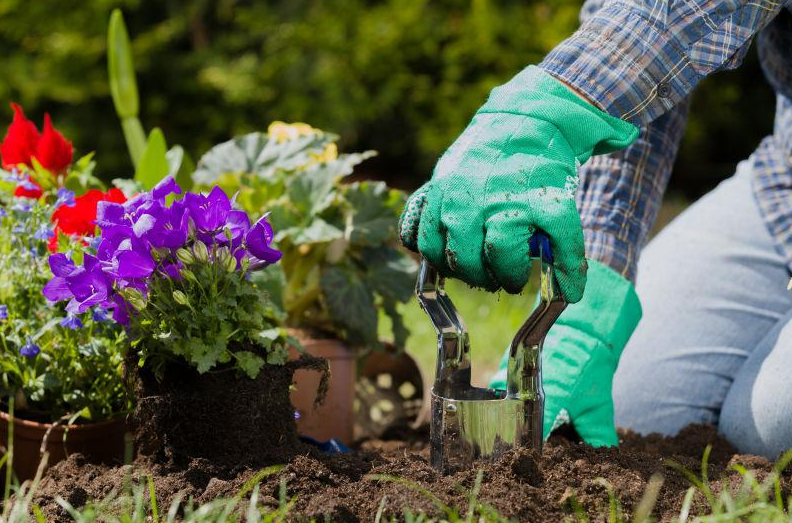 肥料对花卉的养殖有什么重要性？