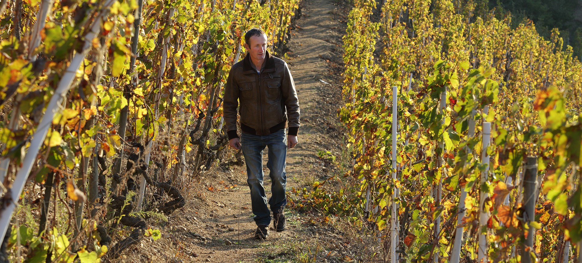 Domaine Vincent Paris