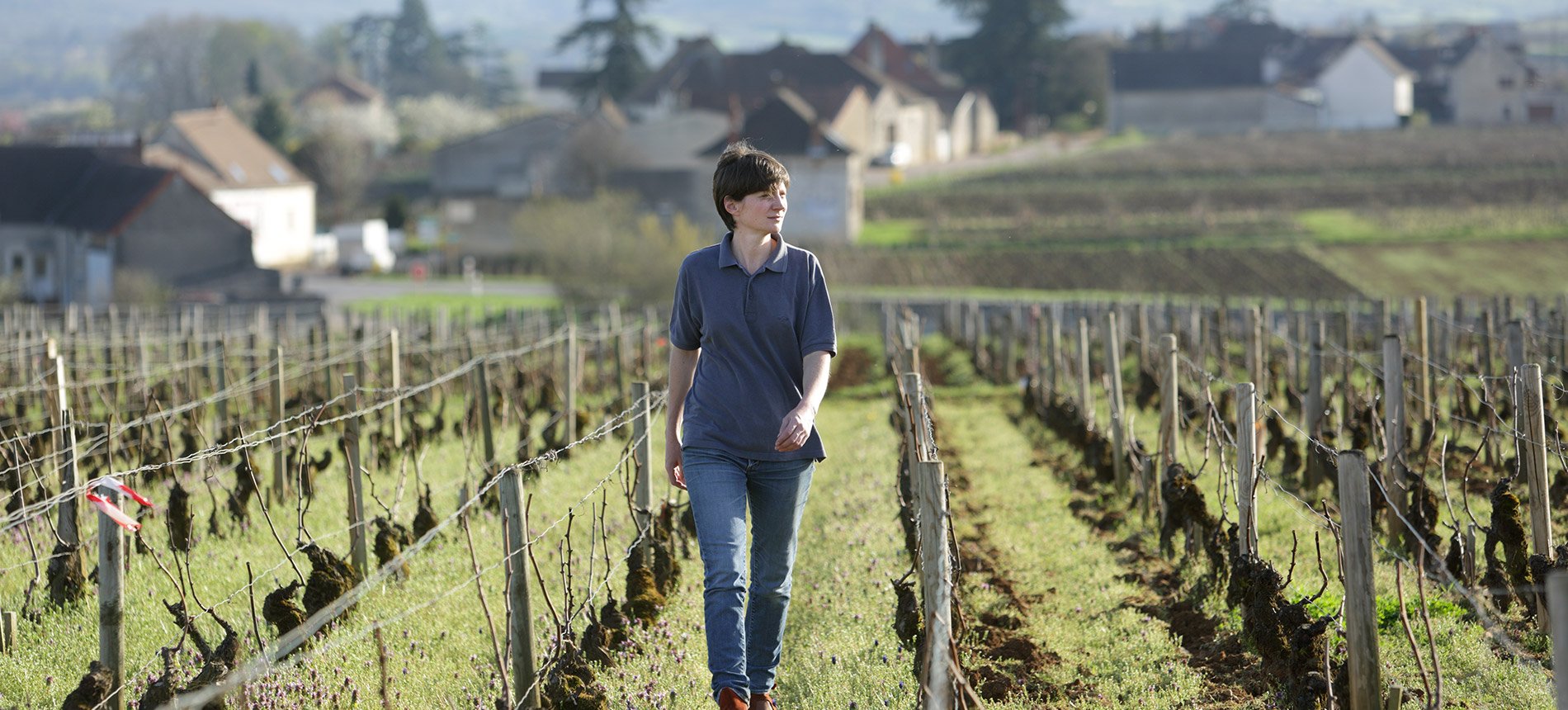 Domaine Fontaine Gagnard
