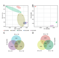 transcriptome