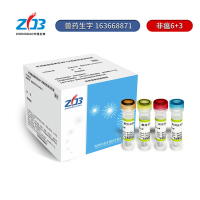 P1721非洲猪瘟病毒荧光PCR核酸检测试剂盒带标签