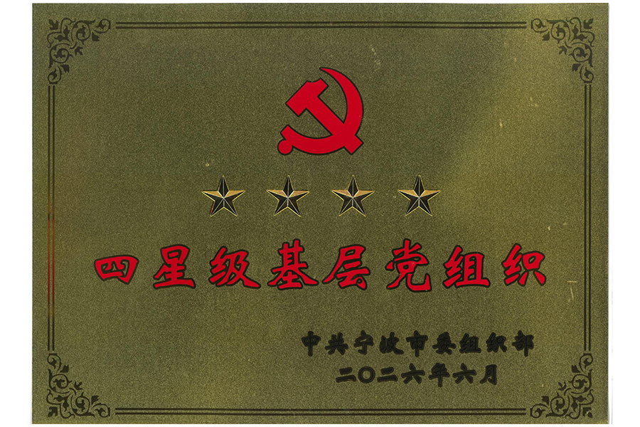 2025年宁波市四星级基层党组织