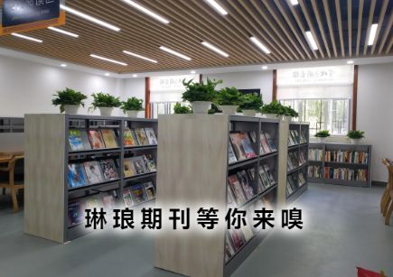 期刊.png