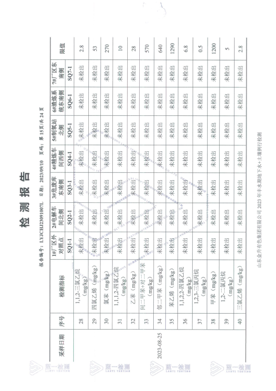 山东金升有色集团有限公司2023年丰水期地下水+土壤例行检测报告_15