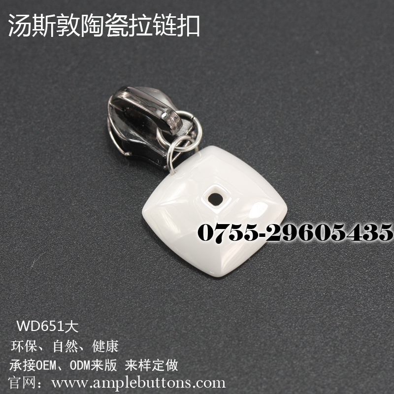 WD651大-拉链扣b