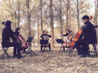 bjcn3scmz_14353_635799155367691791