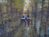 bjcn3scmz_14353_635799155790553422