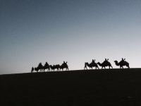 bjcn3scmz_14353_635799157838095827