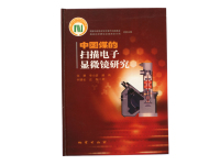 中国煤的扫描电子显微镜研究
