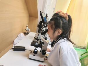IMG_286
